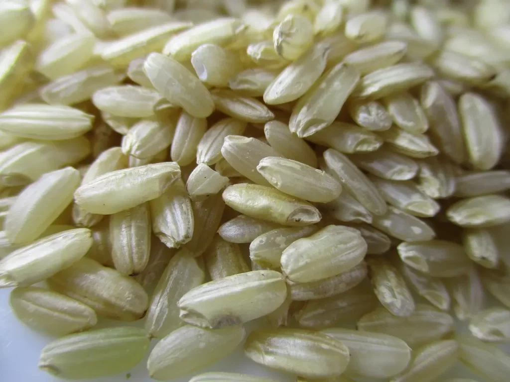 Dicas para fazer o risoto perfeito