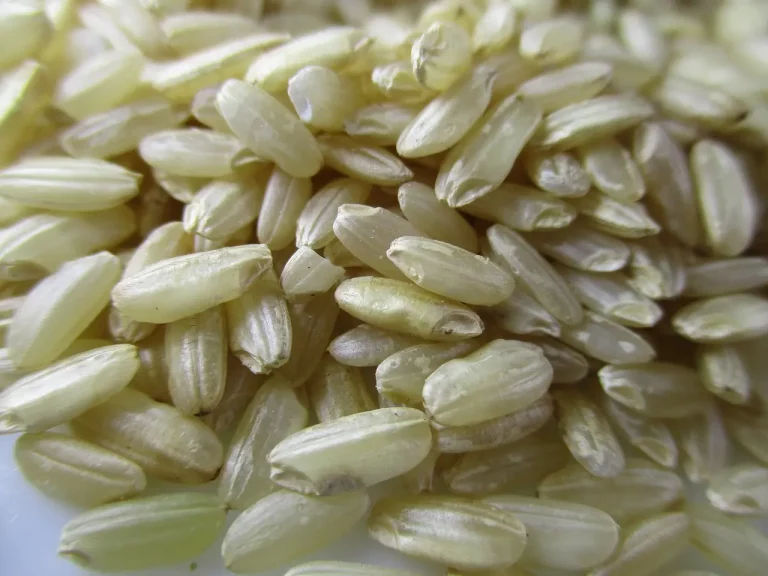 Dicas para fazer o risoto perfeito