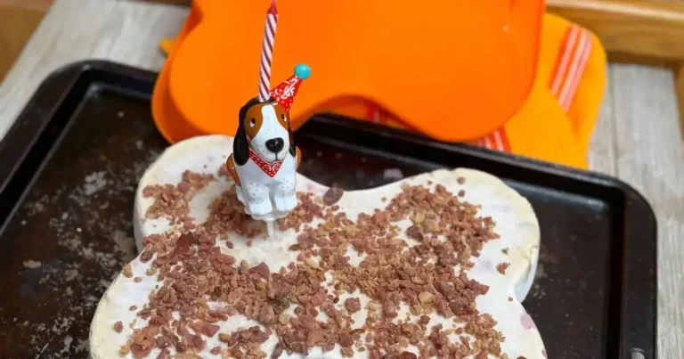 Foto da receita de Bolo de Sorvete para Cachorros