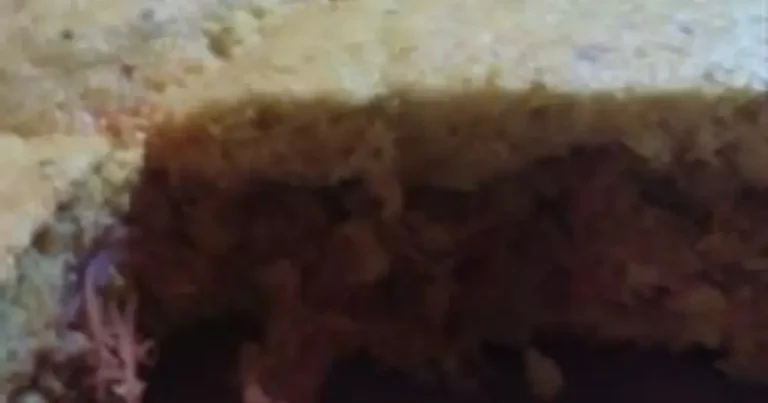 Foto da receita de Torta de Tamale com Carne de Porco Desfiada