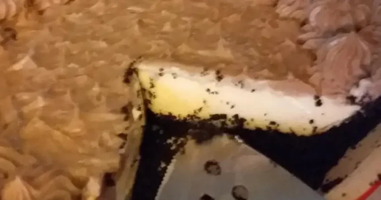 Foto da receita de Torta de Cheesecake