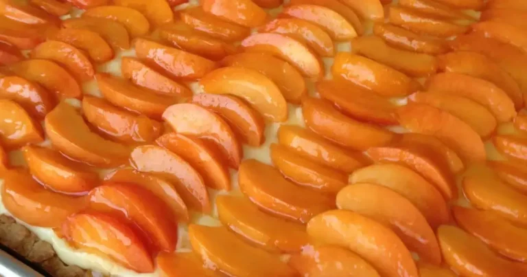 Foto da receita de Torta de Damasco com Creme de Manjericão