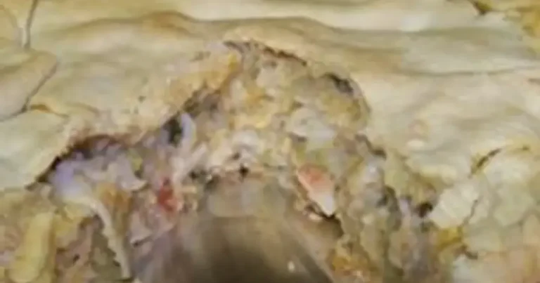 Foto da receita de Torta de Lagostim