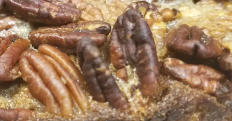 Foto da receita de Torta de Nozes Pecan com Cheesecake de Rum
