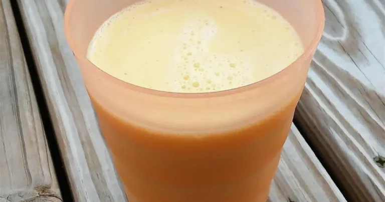 Foto da receita de Julius de Laranja Caseiro