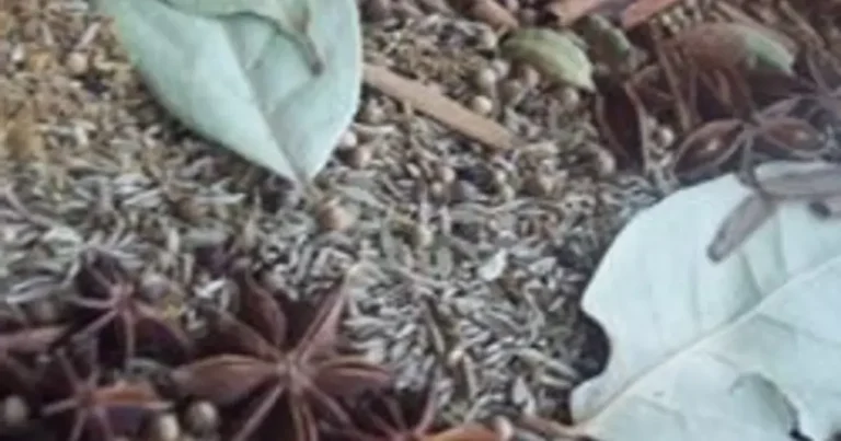 Foto da receita de Garam Masala
