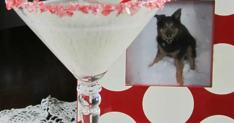 Foto da receita de Peppermintini