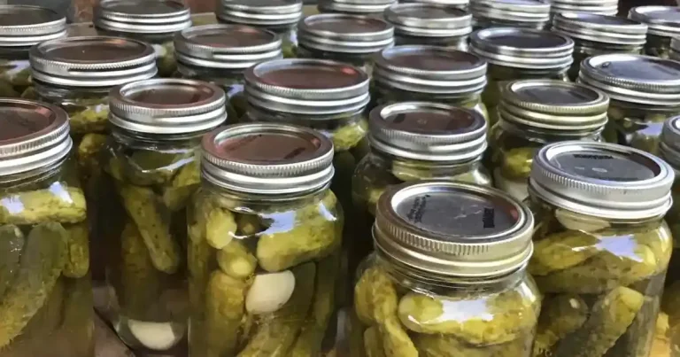 Foto da receita de Picles de Endro do Vovô