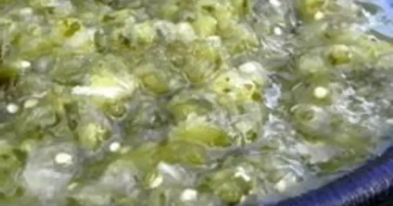 Foto da receita de Salsa Verde Chunky