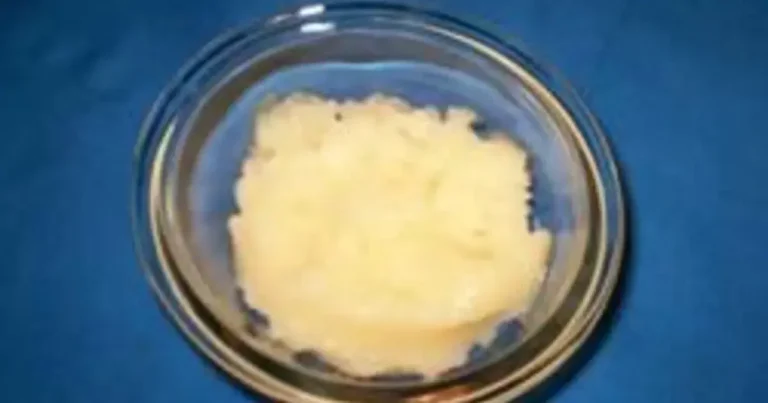 Foto da receita de Sorvete Italiano de Melão Cantaloupe